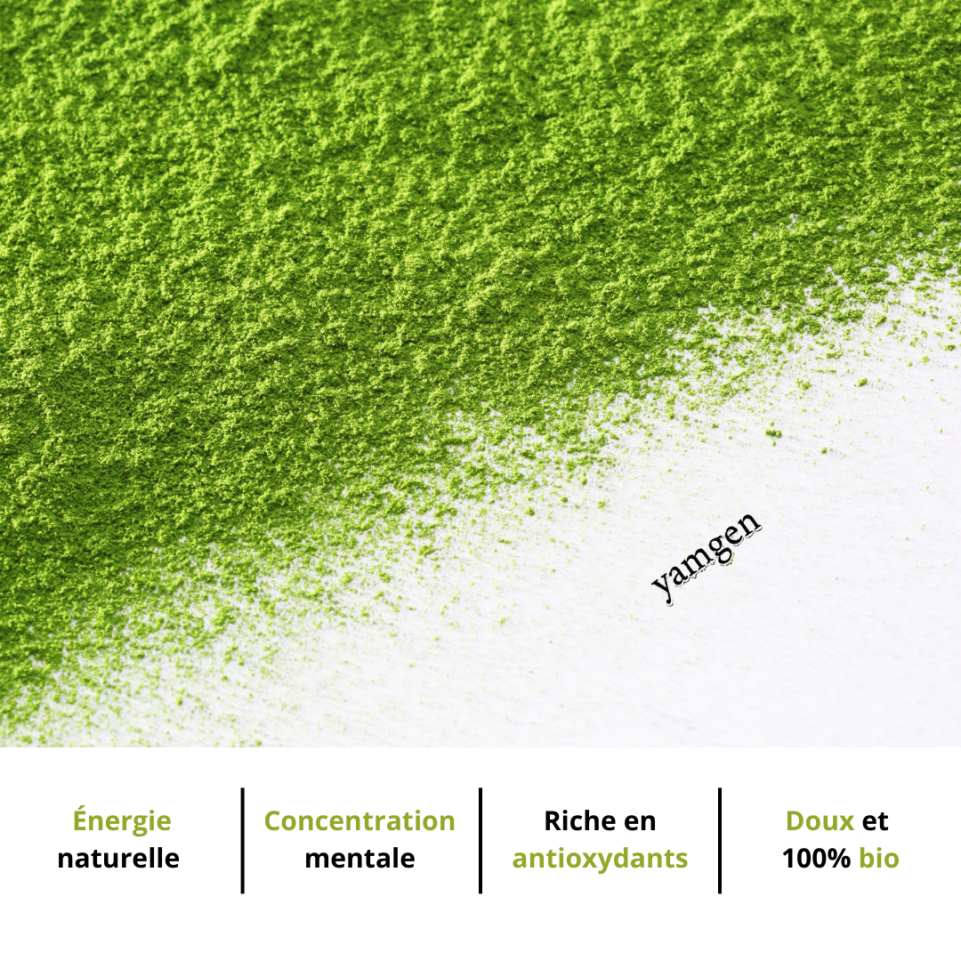 THÉ MATCHA CHOCOLAT GOURMAND | Yamgen | 50g