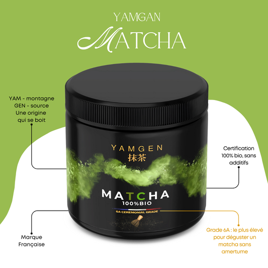 Matcha bienfaits : énergie, digestion, antioxydants... Pourquoi l'intégrer à votre routine bien-être