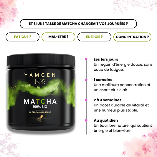 Quels sont les bienfaits du matcha sur la santé ?