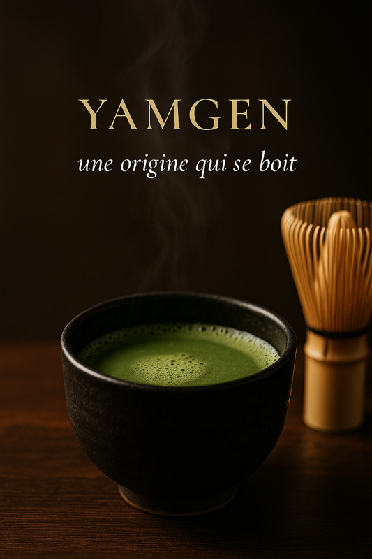 Qu’est-ce qu’un matcha haut de gamme ?